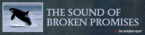 The Sound of Broken Promises